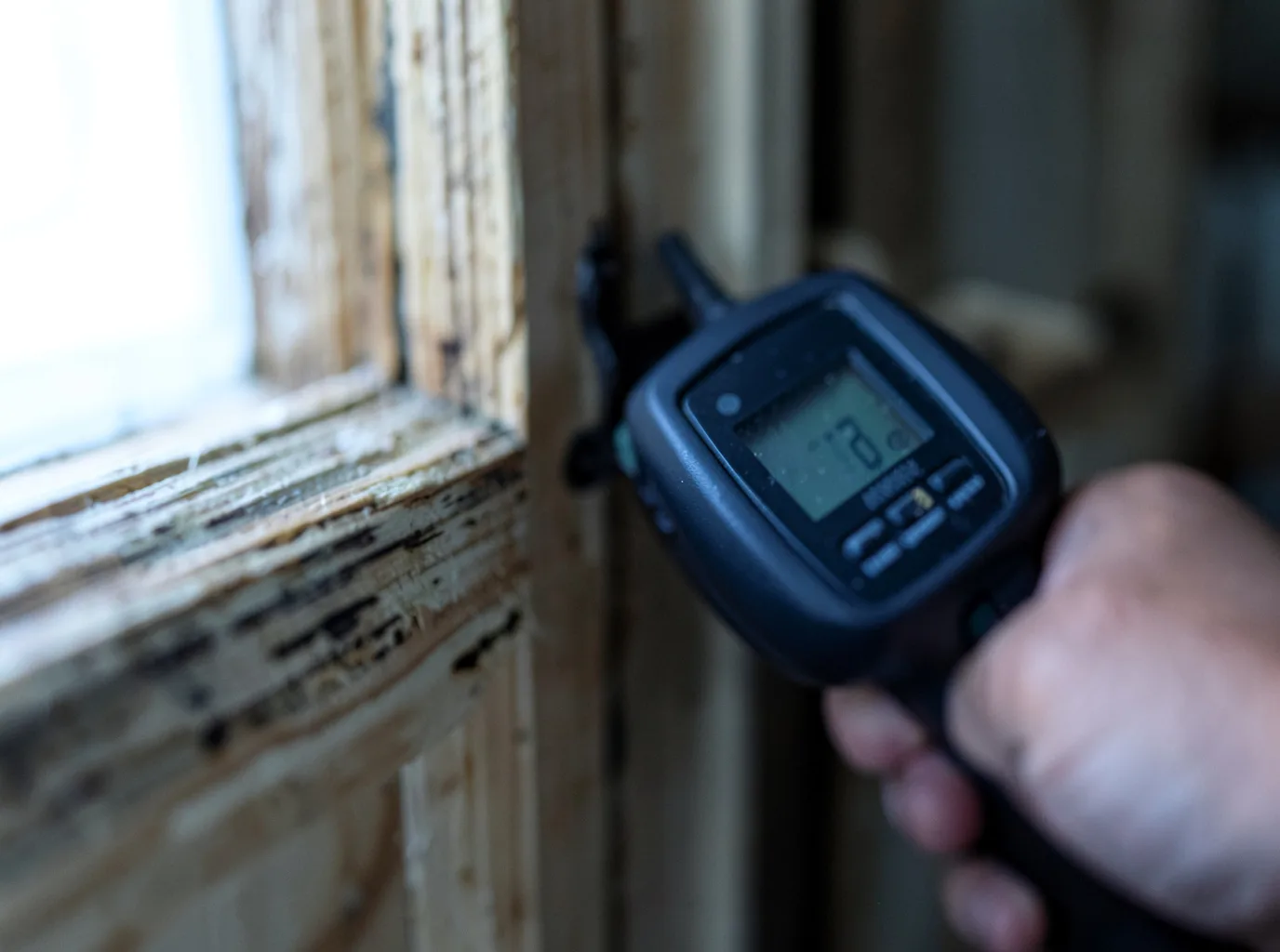 Moisture Inspection And Documentation in Gibsonia, PA